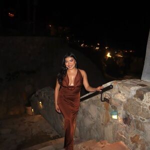 OH POLLY Brown Gown